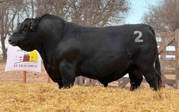 TORO PP 2 - RP 414